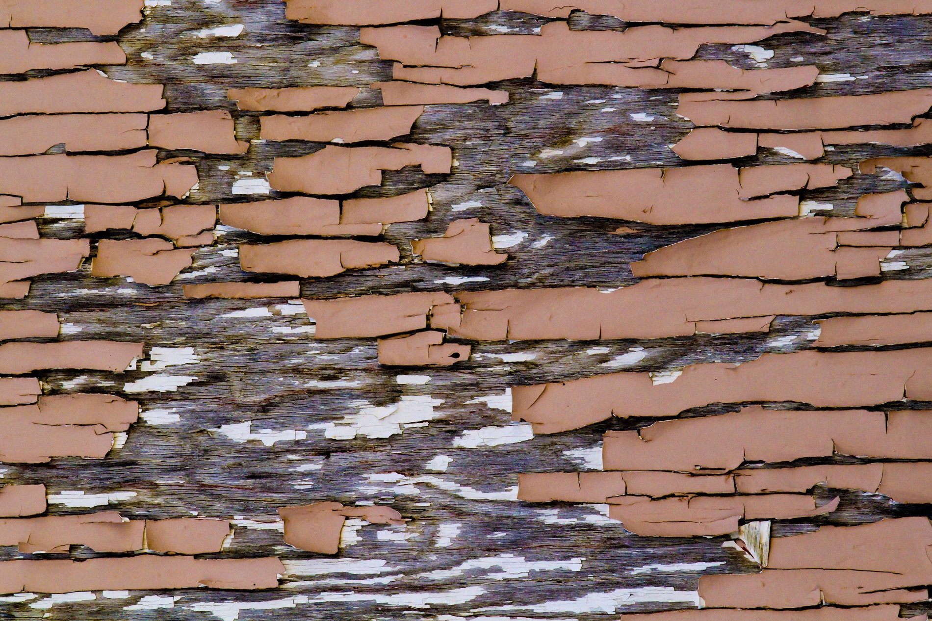 Brown paint curls away, silvered wood hides underneath, weather flakes the skin
