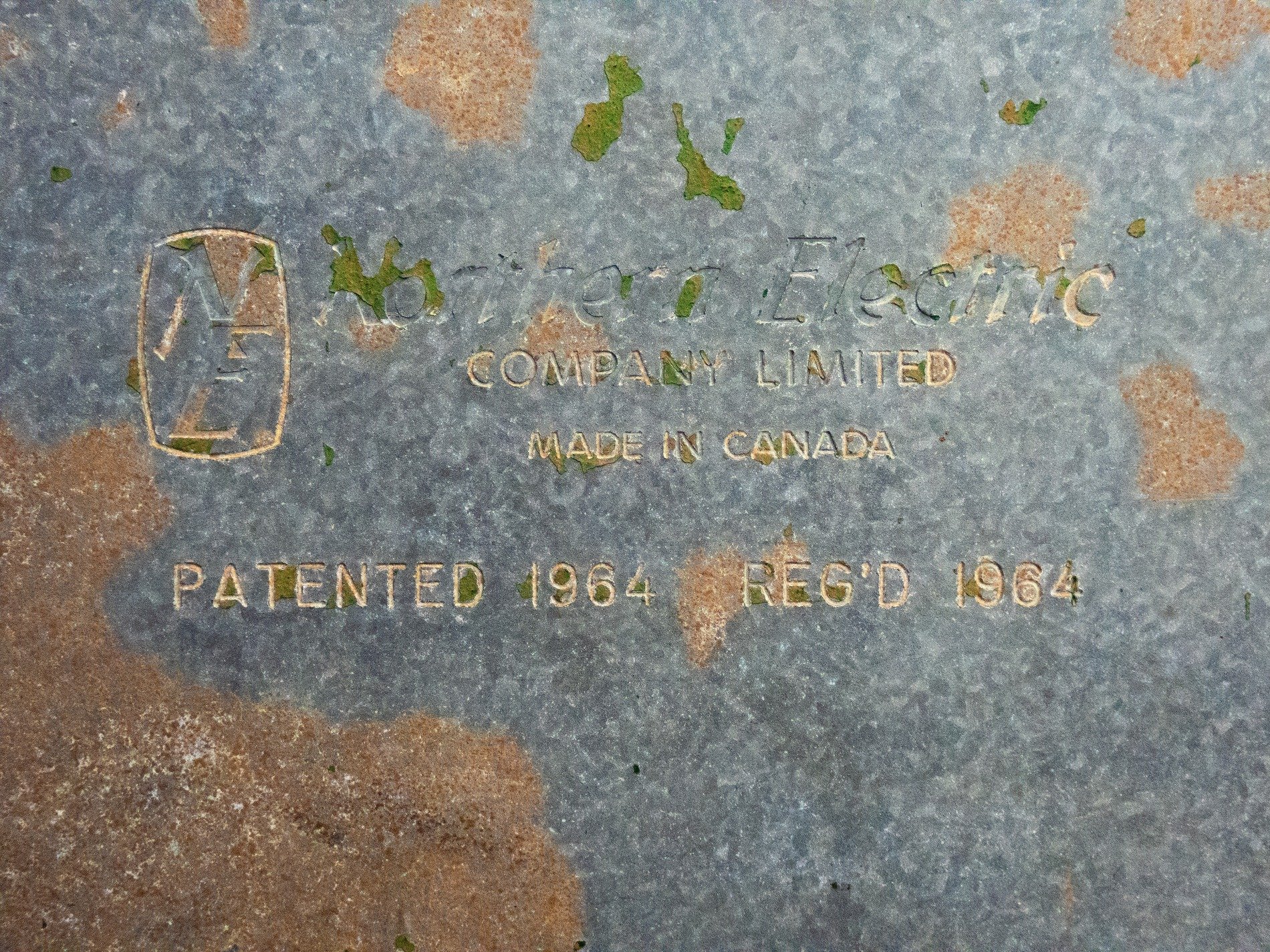 Stamped skin meets the light, orange spots trace the field, old marks leave a trace