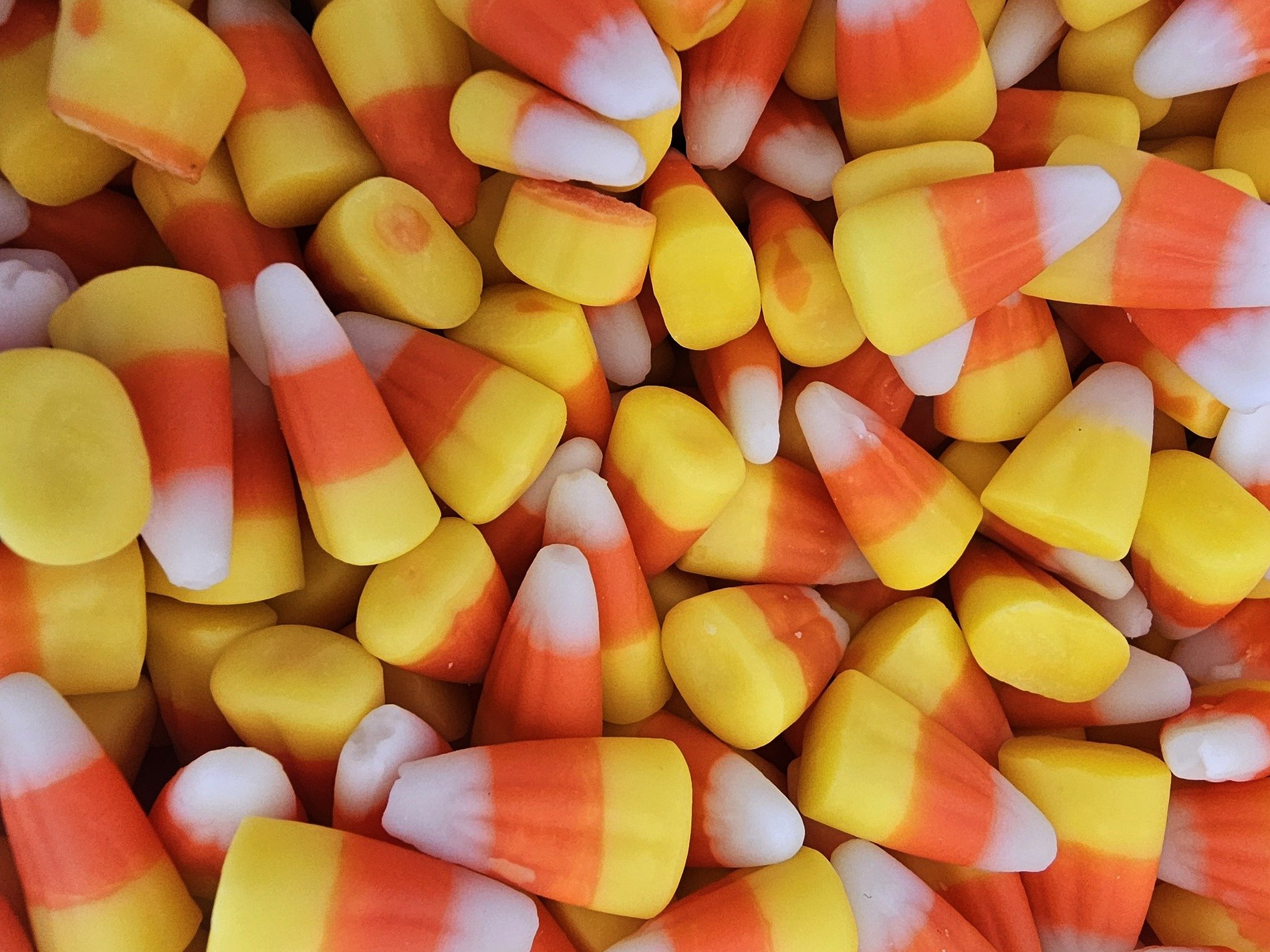 Sugar grains scatter out, bright colors mark the field, grit holds the sweet skin