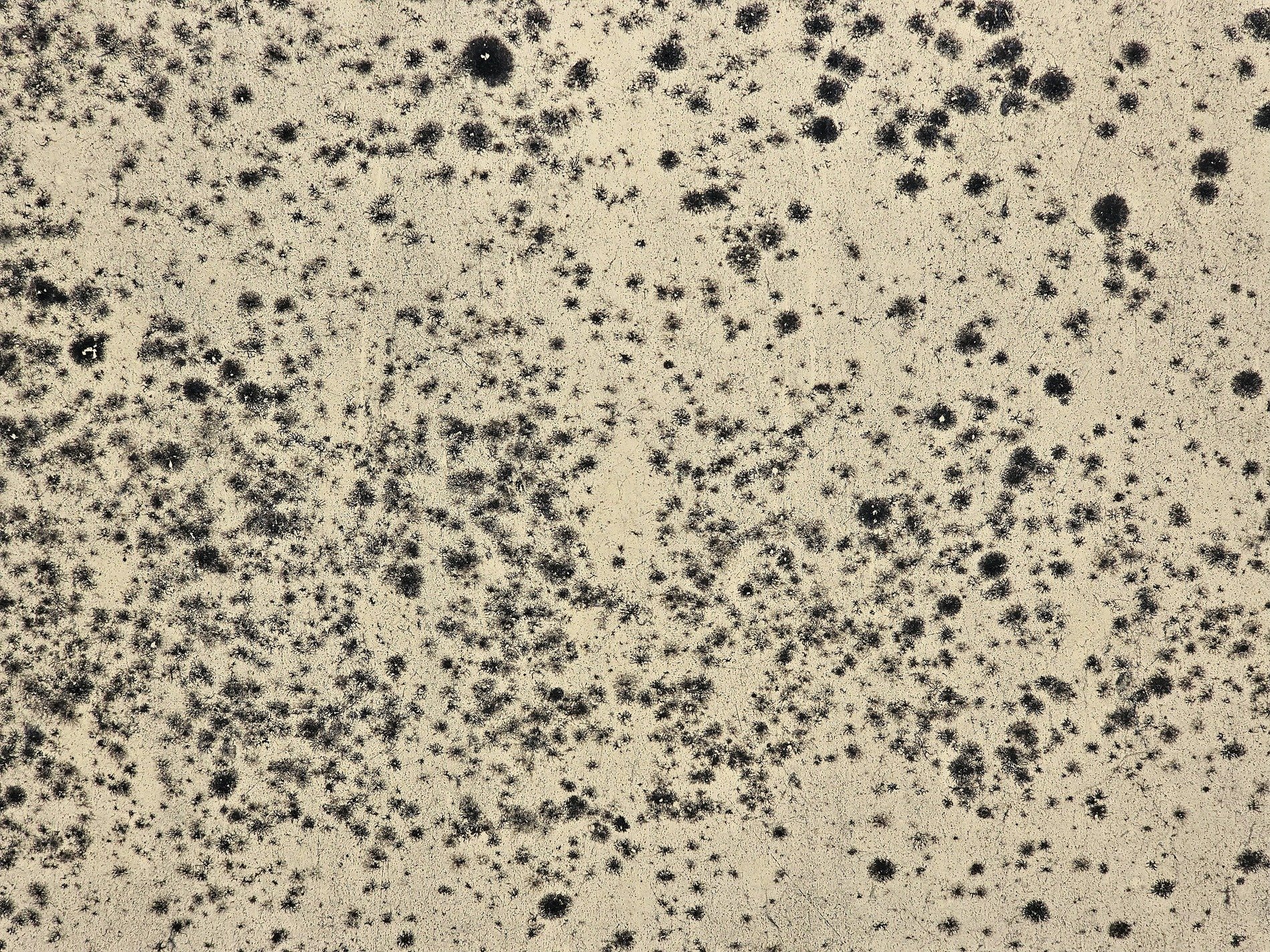 Tan fields meet the dark, jagged spots bleed through the skin, grit holds the finish