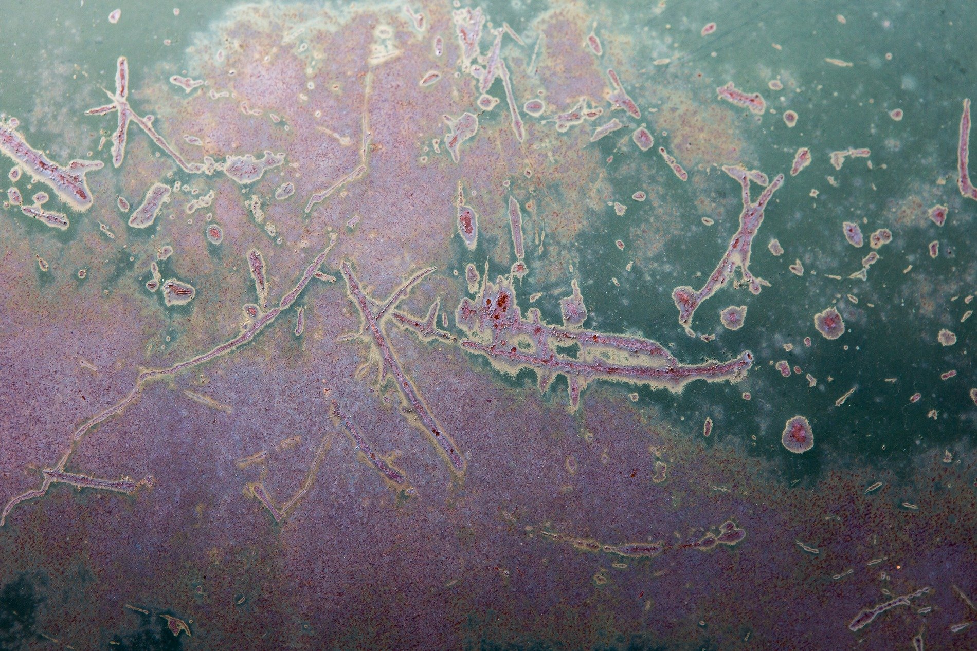 Teal paint meets the oxidation, orange rust veins bleed on the car, grit holds the finish