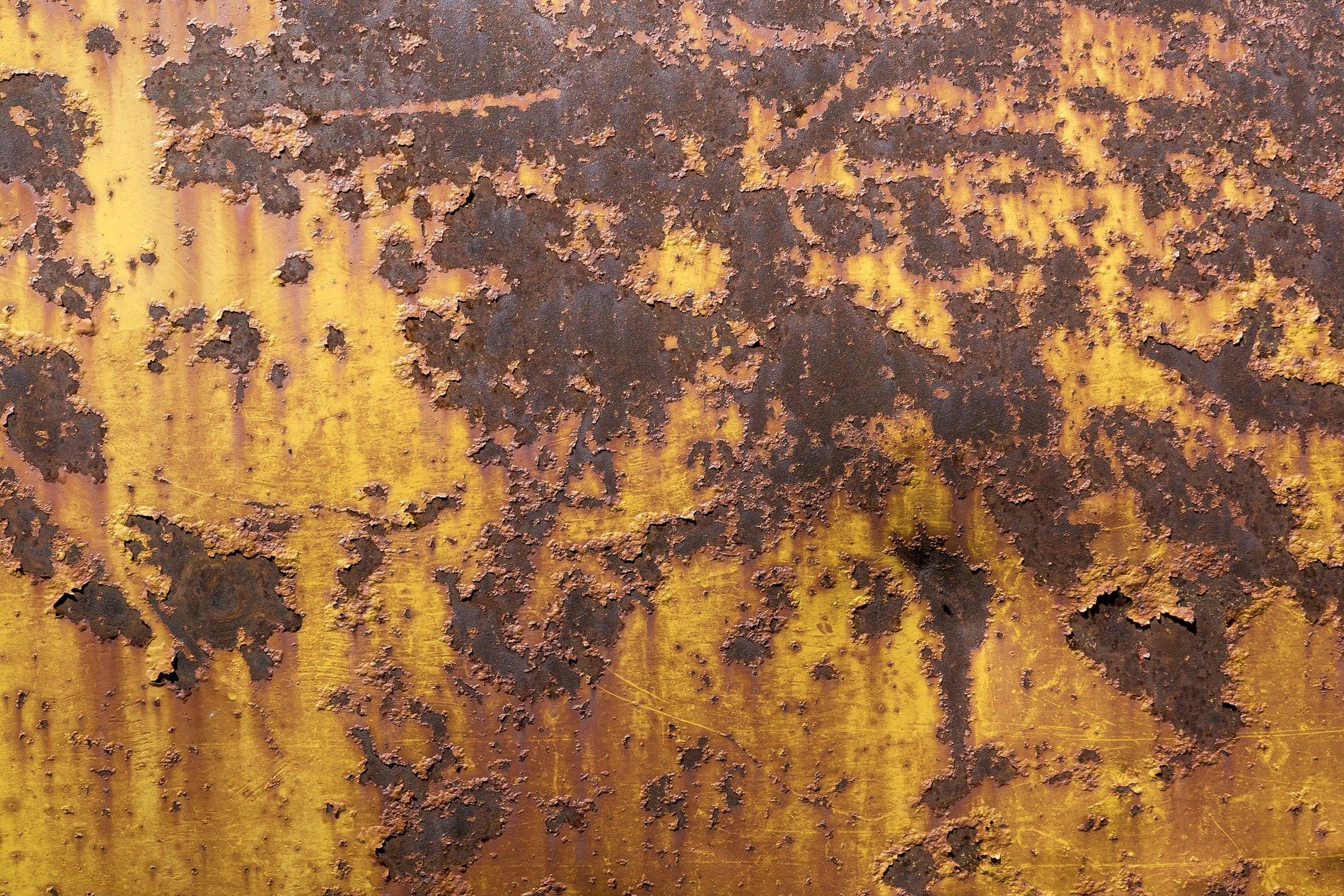 Teal skin meets the rust, orange veins bleed through the blue, grit holds the finish