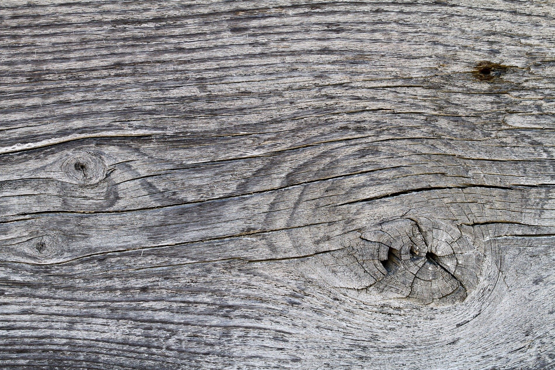 Teal skin meets the rust, orange veins bleed through the blue, grit marks the finish