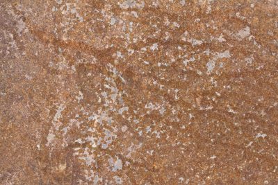 Black paint meets the white, cracked skin shows the heavy body, grit holds the pattern