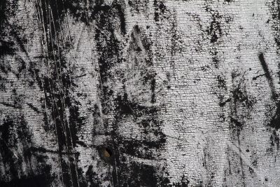 White paint starts to crack, shadows hide beneath the skin, time reveals the grain