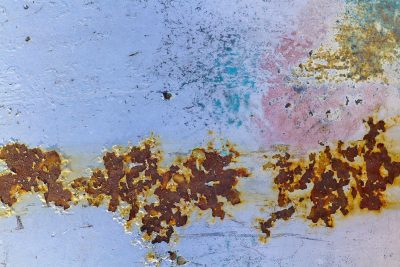 Blue fields meet the red, orange veins bleed through the skin, time marks the shoreline