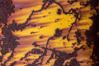 Blue fields meet the rust, heavy orange scales, time marks the shoreline