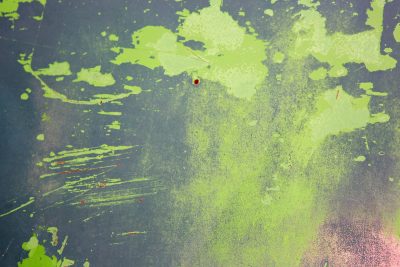 Green flakes peel away, grey metal waits underneath, scars tell of the years