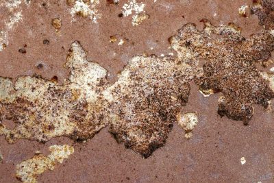 Blue fields meet the rust, orange veins bleed on the steel, grit holds the pattern