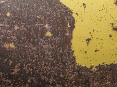 Blue fields meet the rust, orange veins bleed through the skin, time marks the shoreline