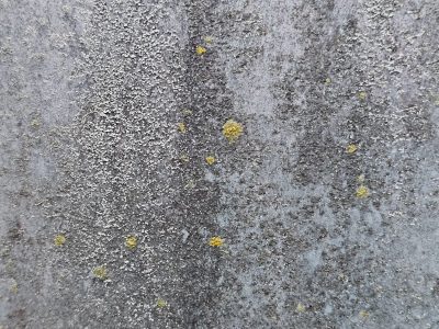 Blue paint flakes away, orange rust claims the steel, time wears down the coat