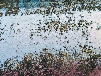 Blue paint peels away, dark moss grows on pitted steel, time claims the finish.