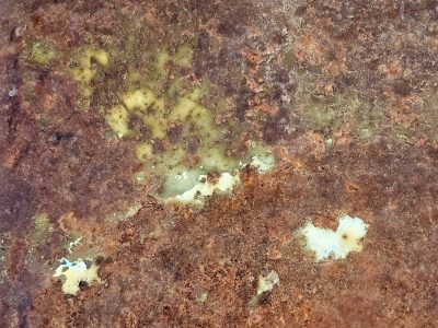 Blue skin bears the scars, white marks trace the metal plate, grit holds the surface