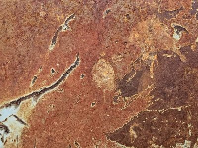 Blue skin meets the rust, orange veins bleed on the steel, decay takes the light