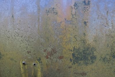 Blue steel turns to grit, industrial scars run deep, time eats through the skin