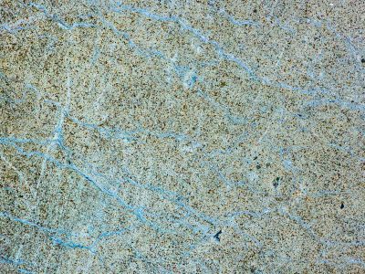 Blue veins in the grit, frozen lightning on the paint, time breaks the surface.