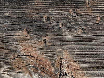 Brown minerals flow deep, heavy scales mark the skin, decay takes the light