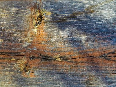 Knots in weathered wood, silver grain meets rusted paint, time carves deep its lines