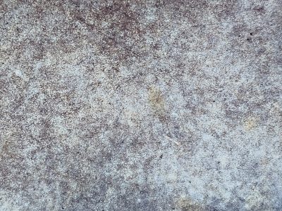 Brown skin turns to dust, white specks scatter on rust, time wears down the plate