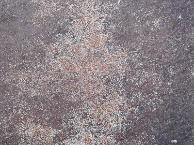 Brown skin turns to dust, white specks scatter on the rust, time wears down the plate