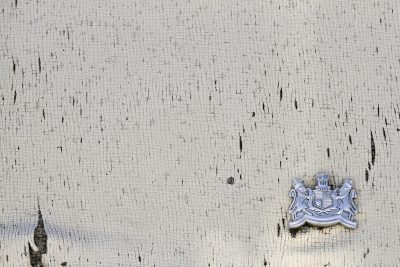 Cream skin cracks and splits, silver crest marks the old age, grit holds the surface