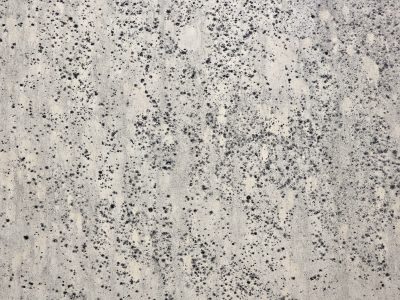 Gray stone holds the cold, tiny specks like frozen dust, nature stains the wall