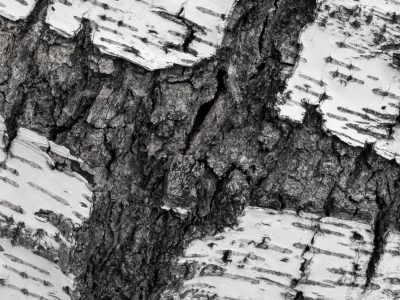 Dark pits mark the skin, jagged scars trace the surface, grit holds the finish