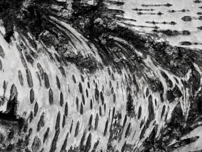 Dark rings hold the core, circular grains flow around, time marks the center