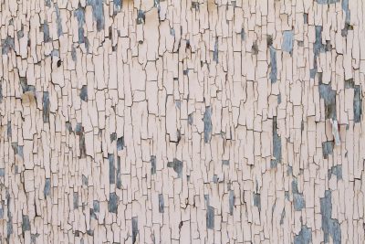 Pale flakes curl away, silvered wood hides underneath, age cracks the veneer