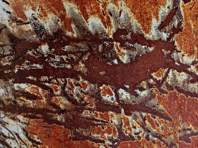 Orange oxides bloom, white flakes drift on dark metal, iron yields to time