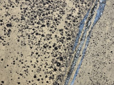 Faded yellow skin, black pits scar the surface deep, blue cracks mark the line.