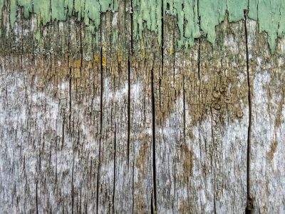 Green skin flakes away, jagged edges meet the wood, grit marks the finish