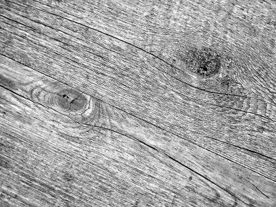 Grey grain flows like ink, knots and cracks trace the old years, time wears down the wood.