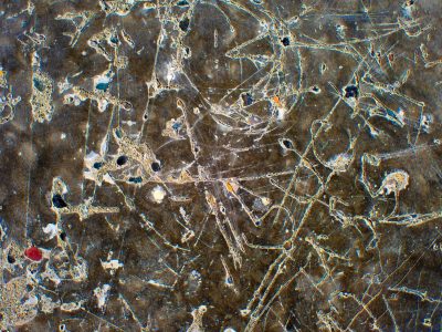 Grey grains flow through deep, mineral veins trace the skin, grit holds the pattern