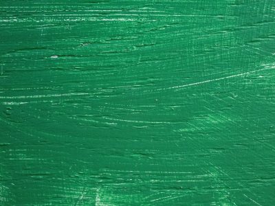 Grey skin has deep pits, horizontal lines divide, weather wears the line