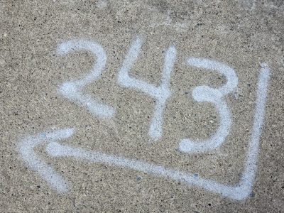 Grey skin has pits, dark marks trace the stone, grit holds the pattern