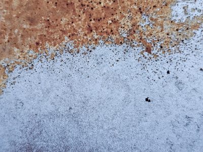 Grey skin turns to dust, dark spots bloom on faded blue, grit holds the pattern