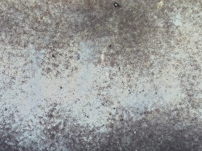 Grey skin turns to dust, dark webs hold the fading light, time claims the finish.