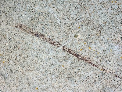 Grey stone grains endure, dark scar cuts the speckled path, lichen starts to bloom