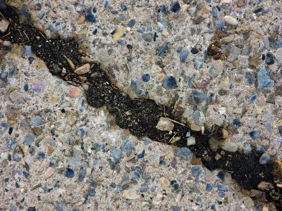 Grey stones hold the path, dark river splits the concrete, earth breaks through the grit.