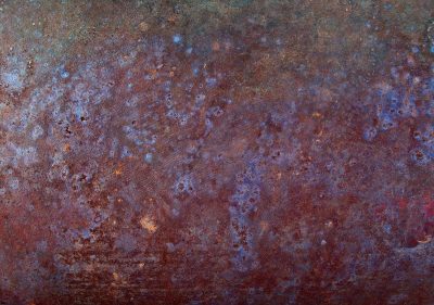 Rusted iron skin, purple blooms in dark decay, textures of the past