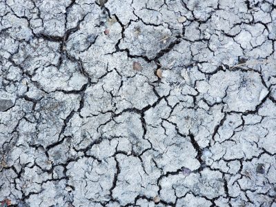 Jagged lines divide the field, deep shadows trace the floor, dry years leave a mark