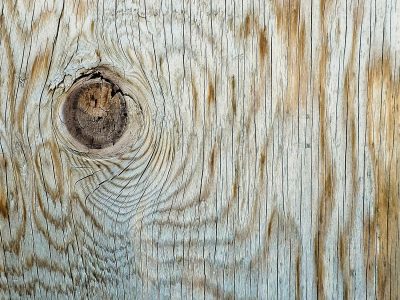 Lines of aged silver, A dark eye locked in the grain, Time etched in the knot