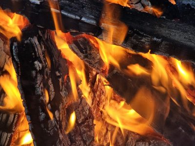 Orange tongues lick wood, blackened bark begins to crack, heat glows from the core