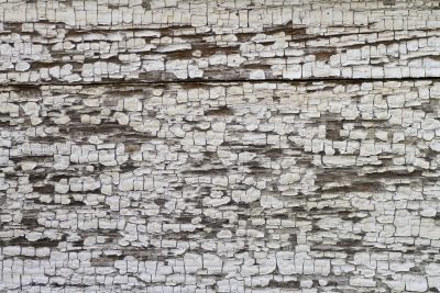 White paint curls and flakes, weathered wood hides underneath, years peel from the wall