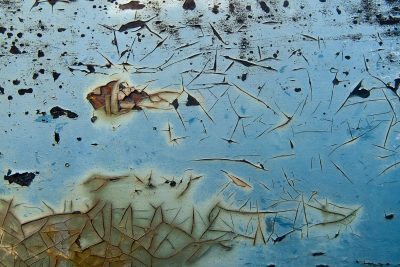 Pale blue holds the light, tan dust meets the heavy skin, grit marks the finish