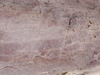 Pale grains flow deep, tan mineral veins trace the skin, grit holds the pattern