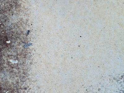 Pale skin pits and cracks, dark spots bloom on the thin wall, grit marks the finish