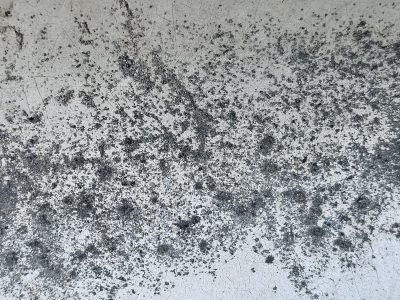 Pale skin shows the dark, white paint meets the heavy grit, weather marks the wall