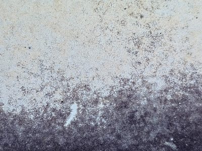 Pale skin cracks and fades, dark shadows rise from beneath, time etches its web